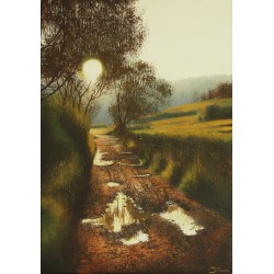 Hamada, Droga, wierzby