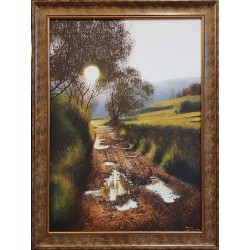 Hamada, Droga, wierzby