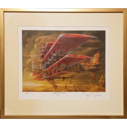 Jaśnikowski, Czerwony samolot