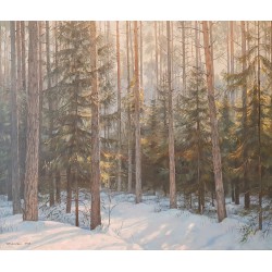 Piekarski, Zimowy las i świerki